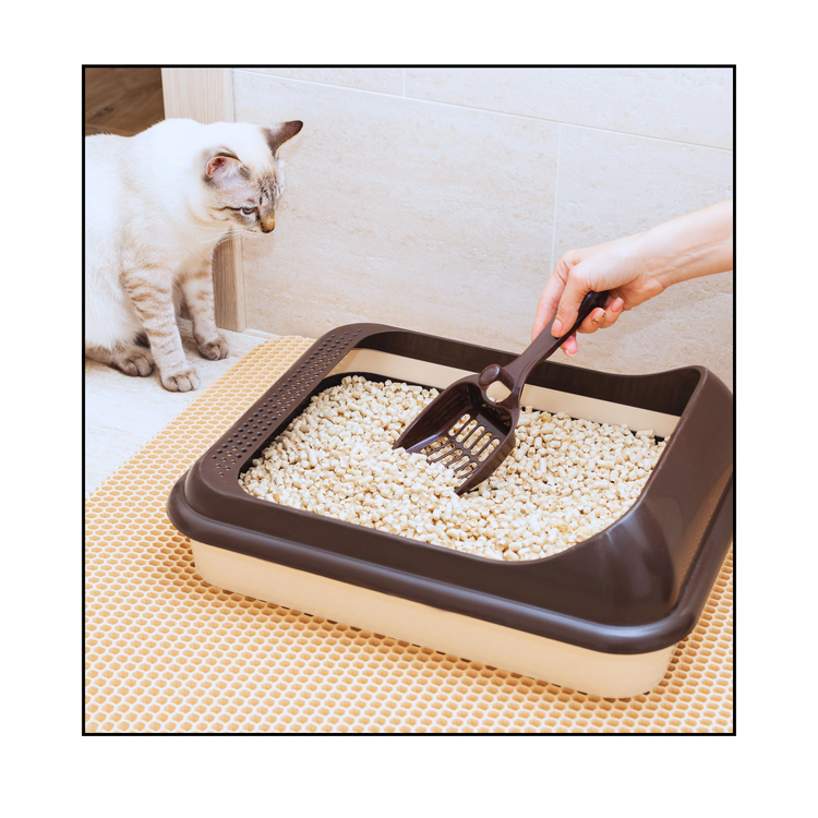 Cat Litter Accessories