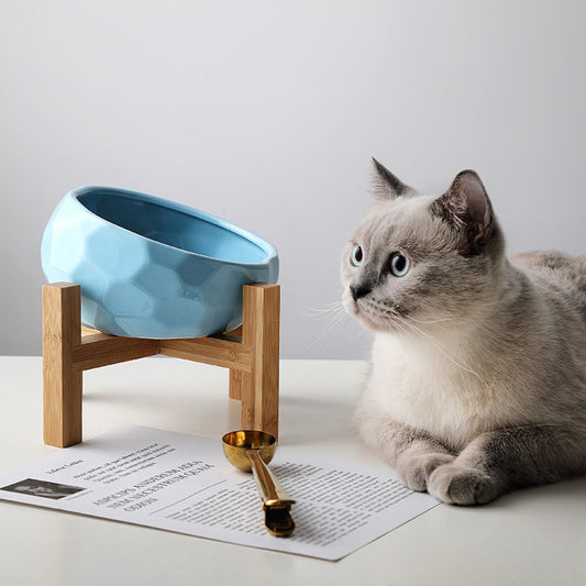 Oblique Mouth Pet Bowl with Rack