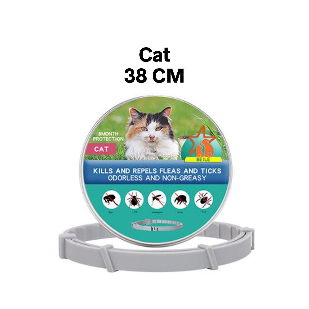 Flea-Repellent Pet Collars: Protect Your Dogs and Cats Year-Round
