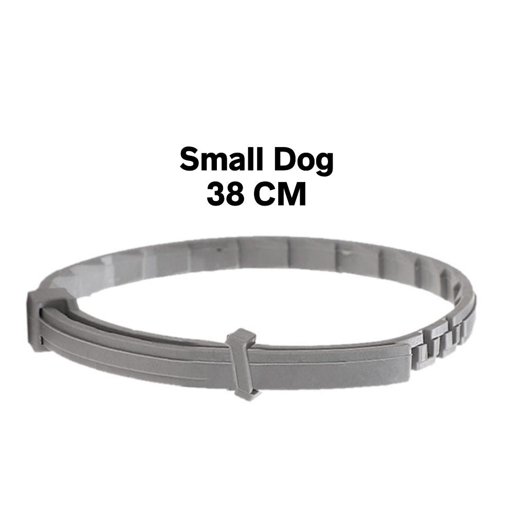 Flea-Repellent Pet Collars: Protect Your Dogs and Cats Year-Round
