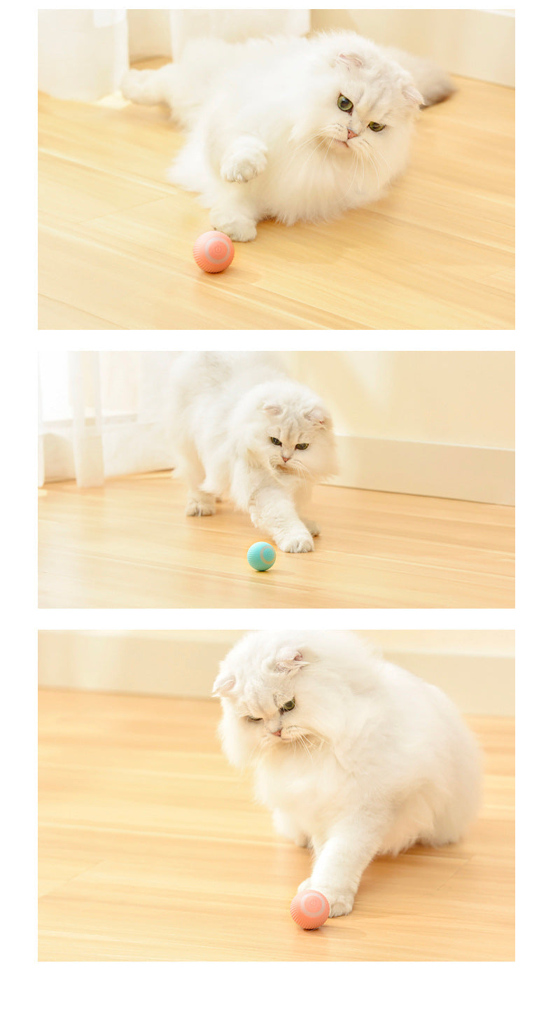 Smart Rolling Cat Teaser Ball