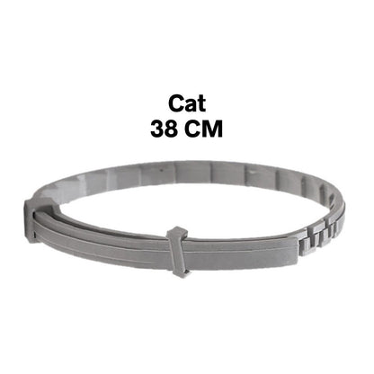 Flea-Repellent Pet Collars: Protect Your Dogs and Cats Year-Round